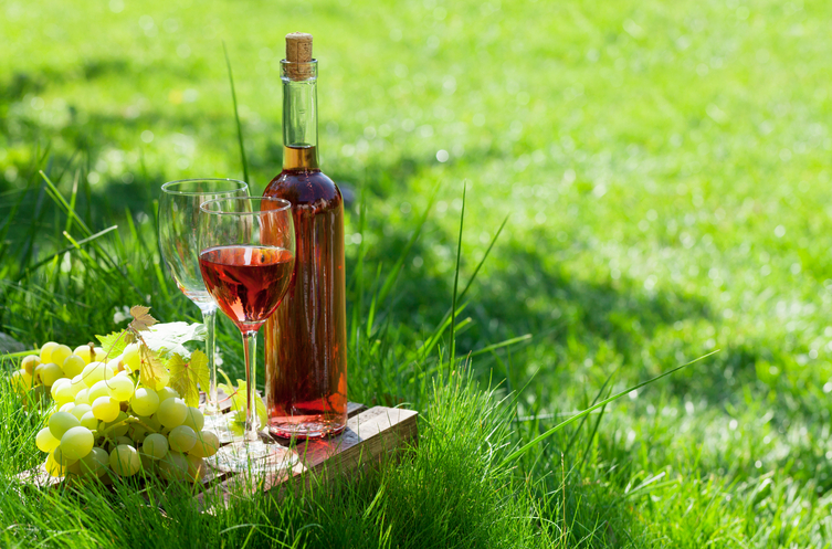 Les vignobles renommés de Provence pour les vins rosés